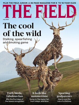 The Field - Magazine